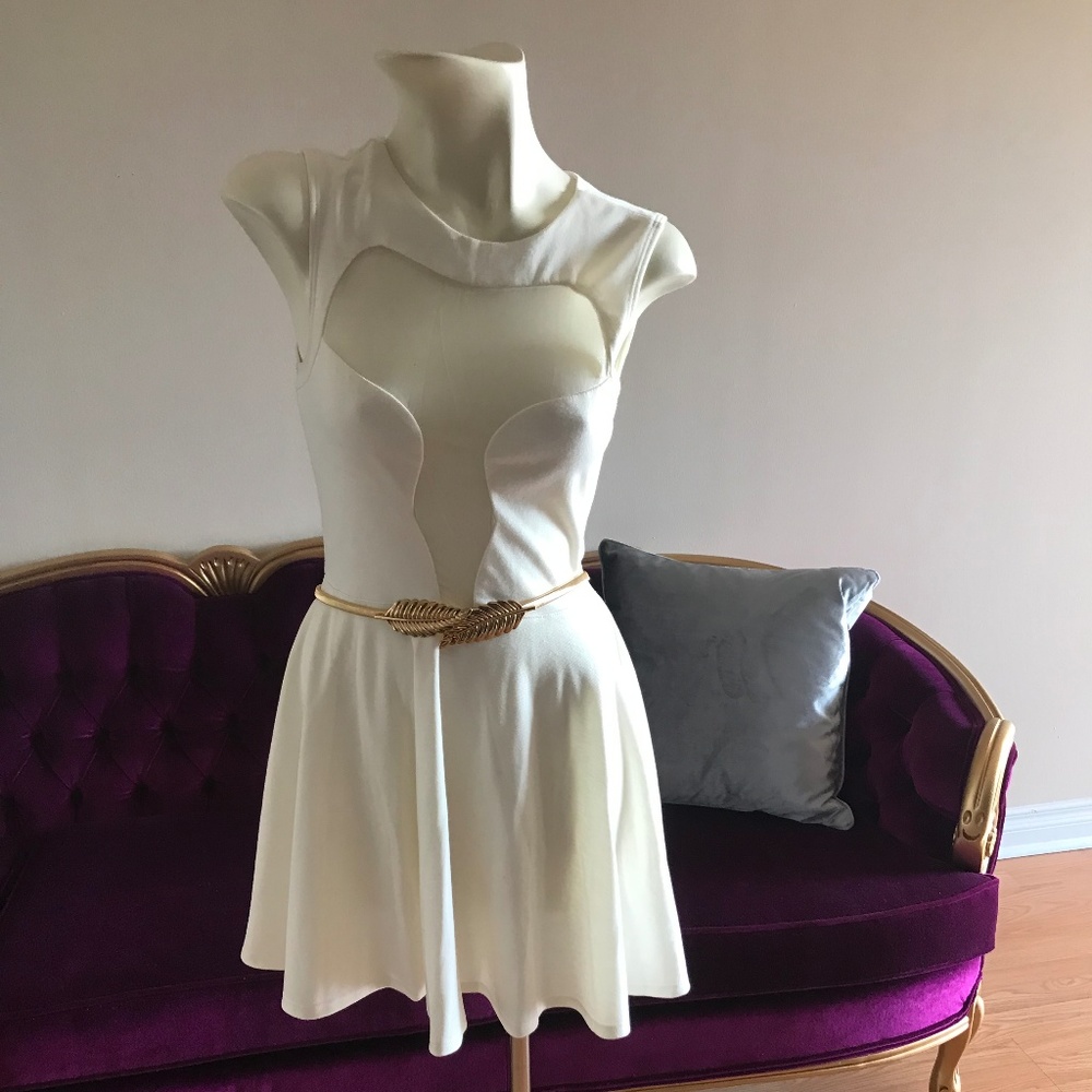 Never Worn ASOS Skater Dress